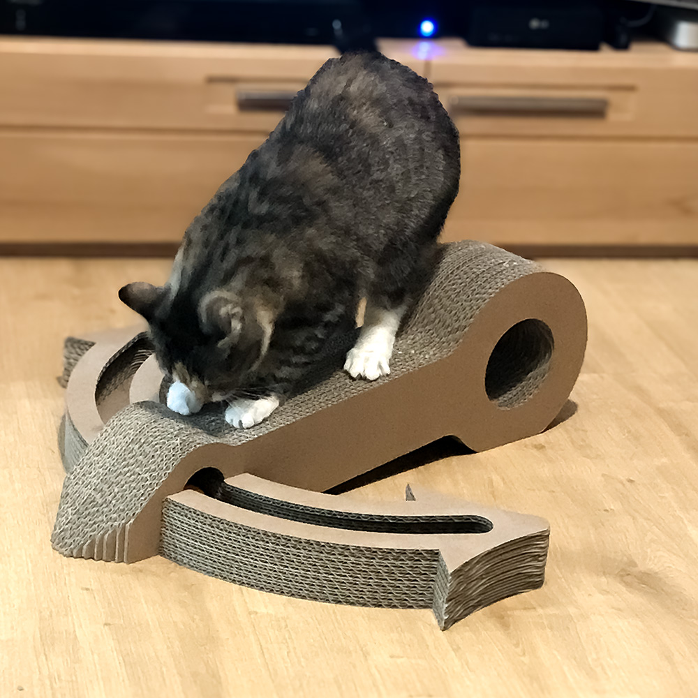 Mia liebt es am Katzenanker zu kratzen
