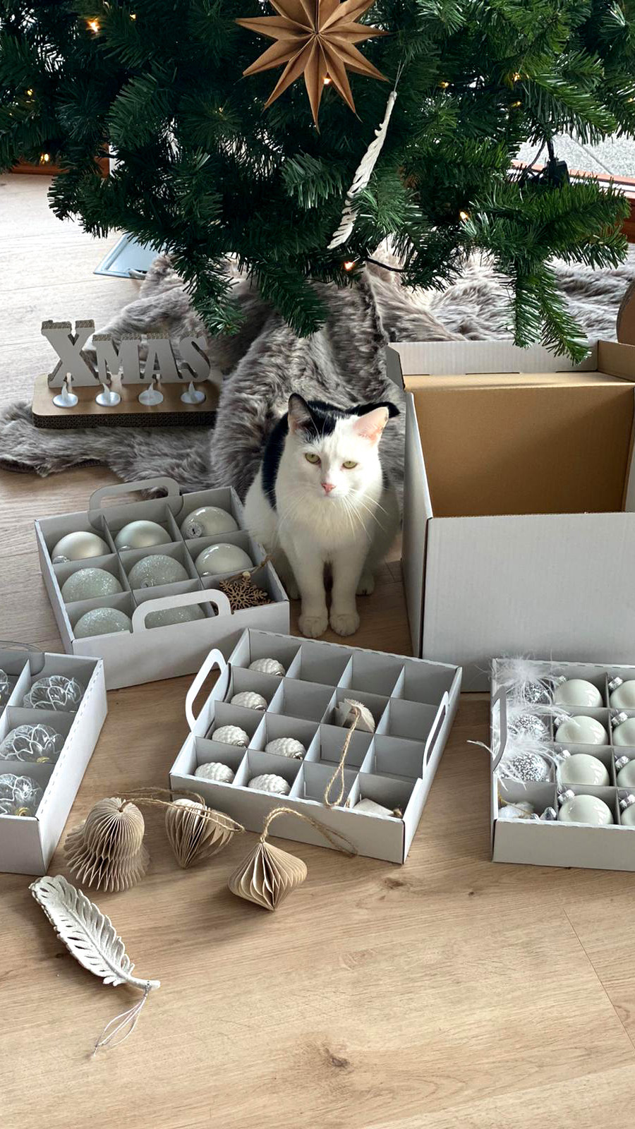 Weihnachsdekoration verstauen