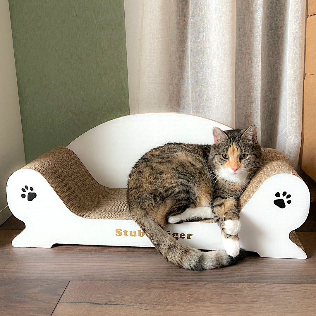 Mia auf dem Katzensofa